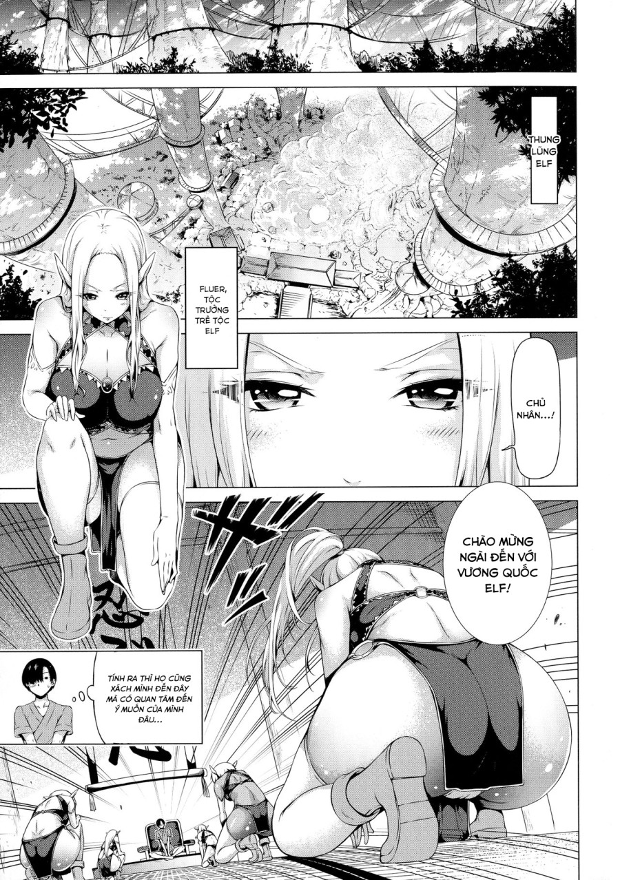 Isekai Harem Paradise 
