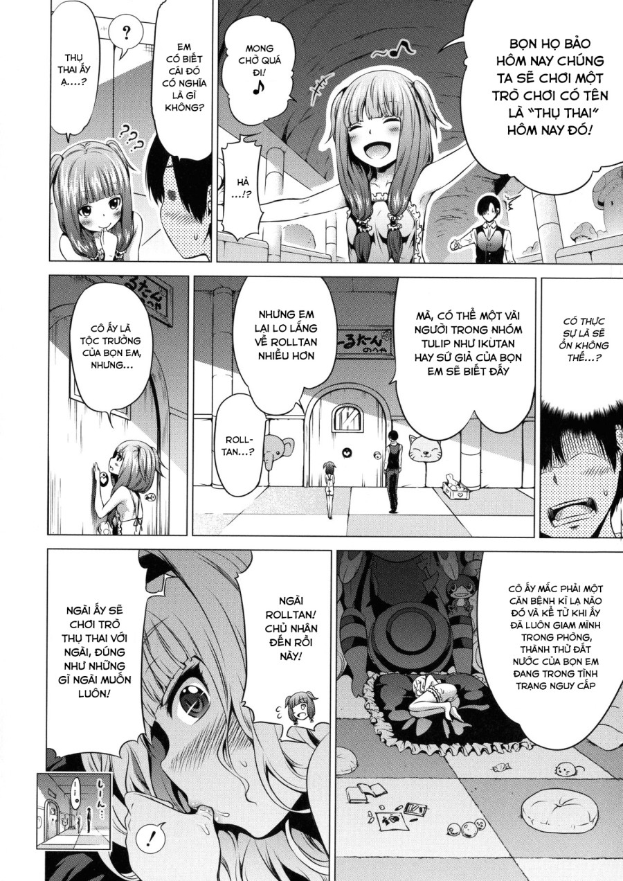 Isekai Harem Paradise 