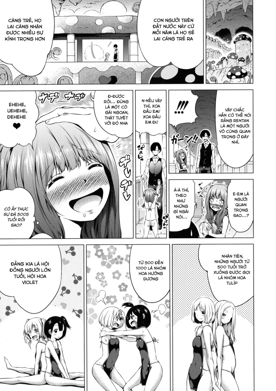 Isekai Harem Paradise 