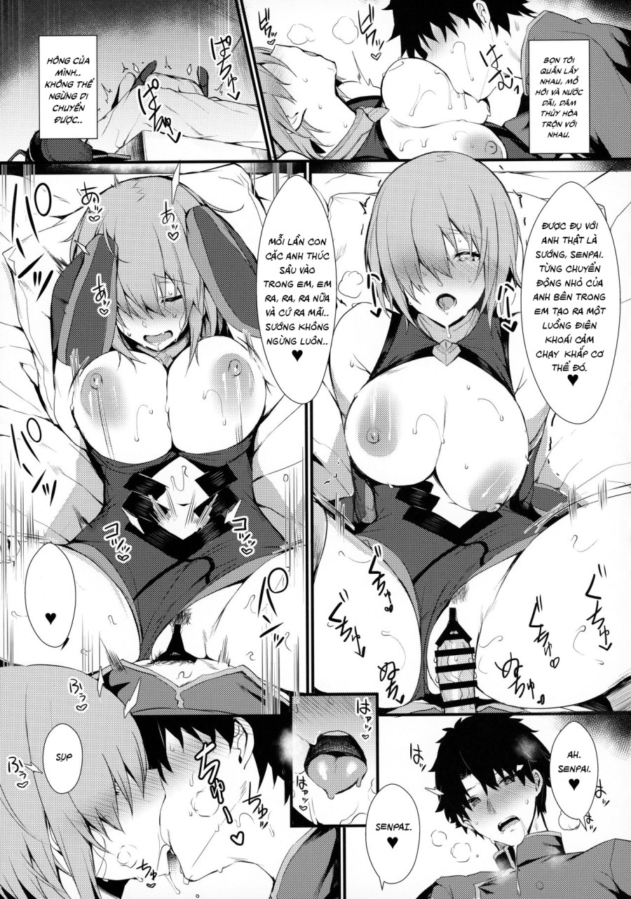 [Fate] Hoạt Động Bí Mật Cùng Mash 