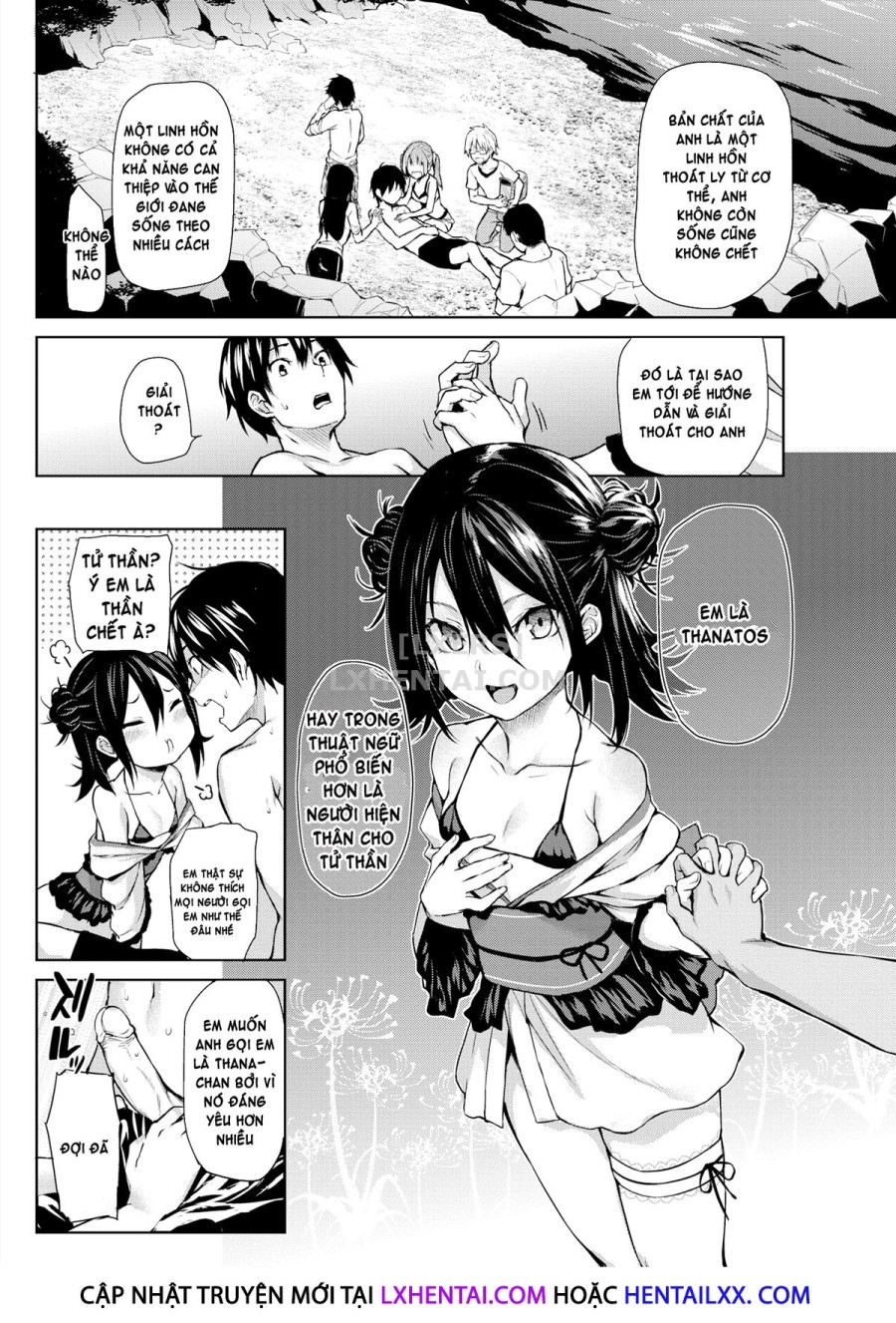 Azato Making Plus 