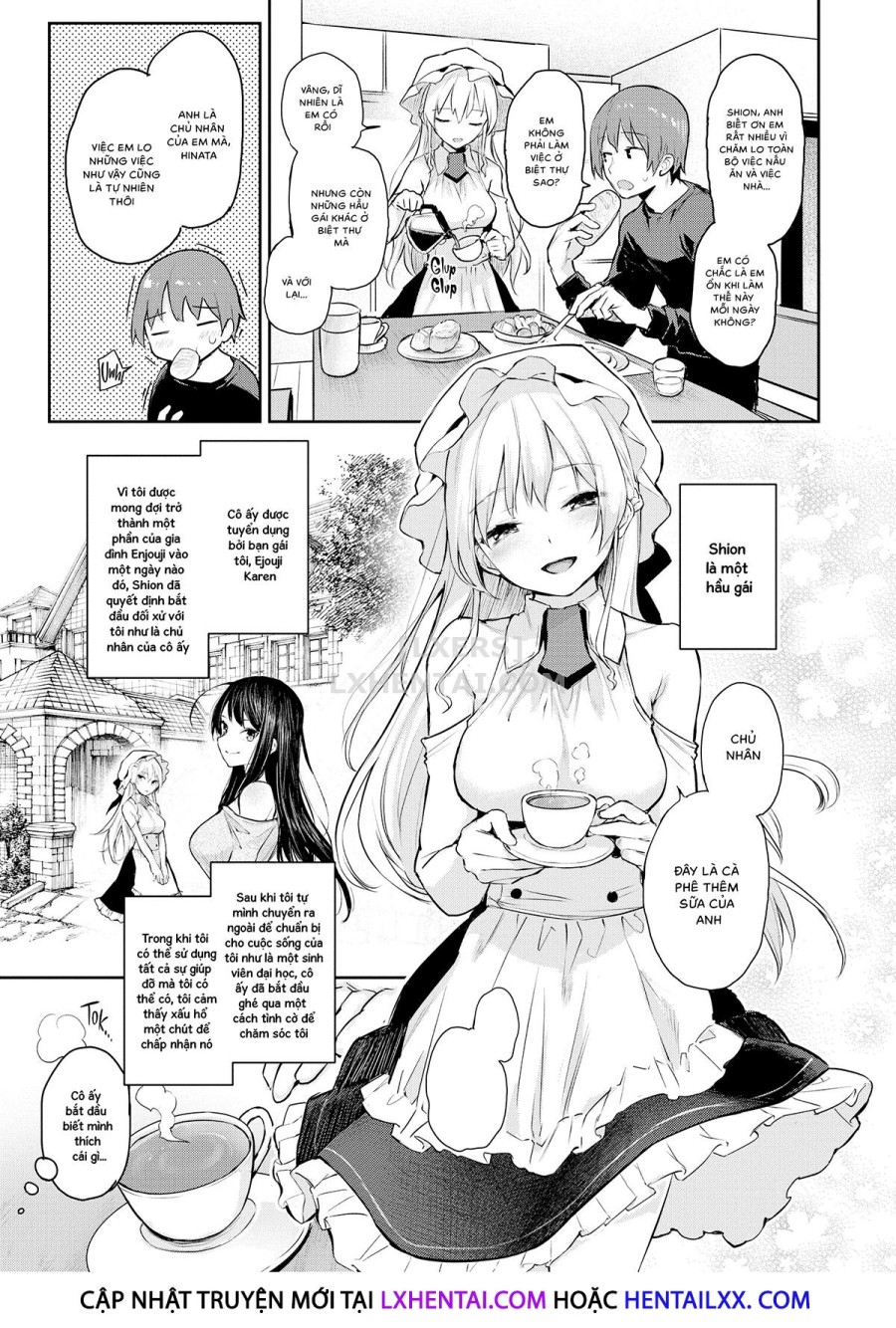 Azato Making Plus 