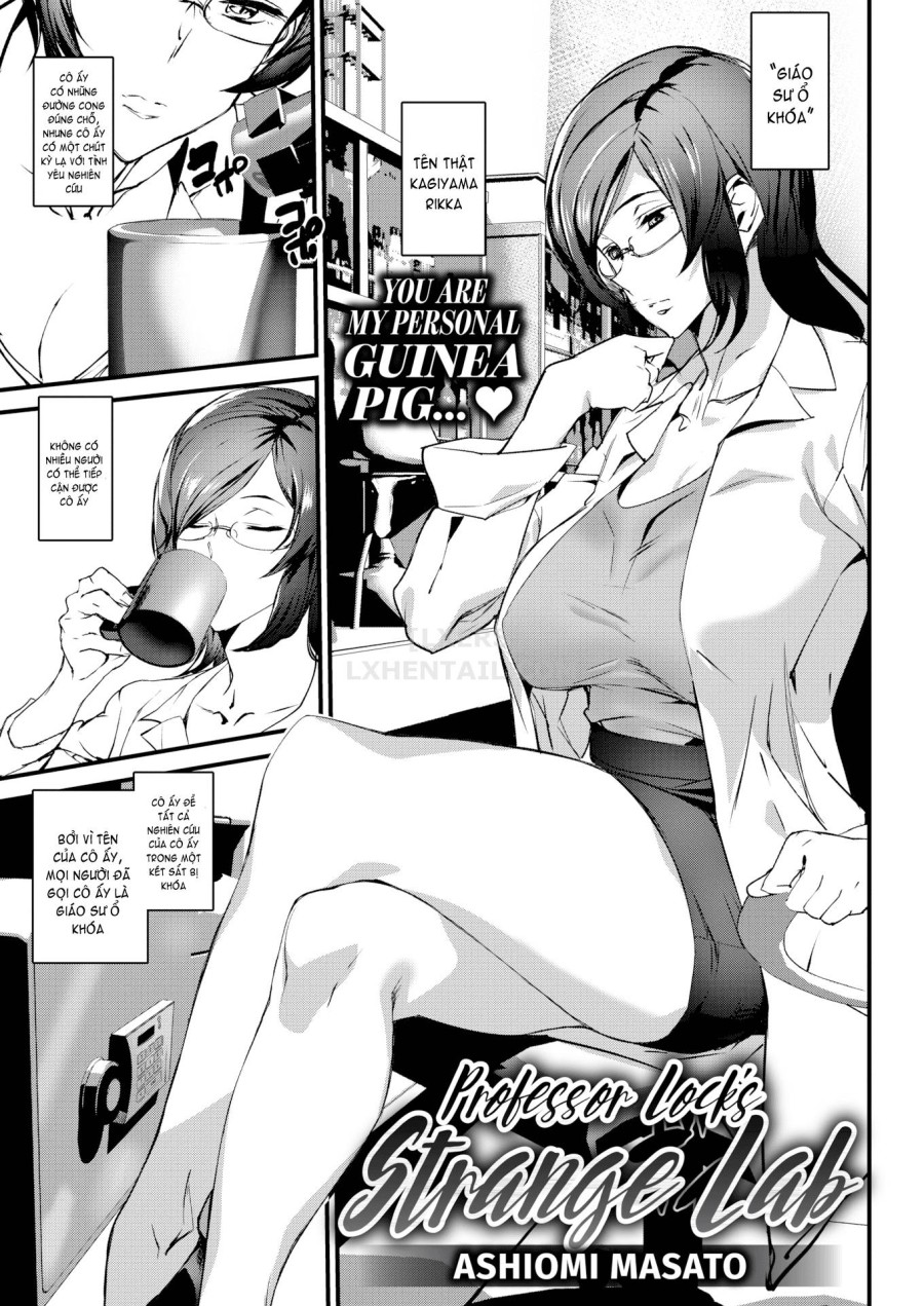 Gohoushi Zakari 