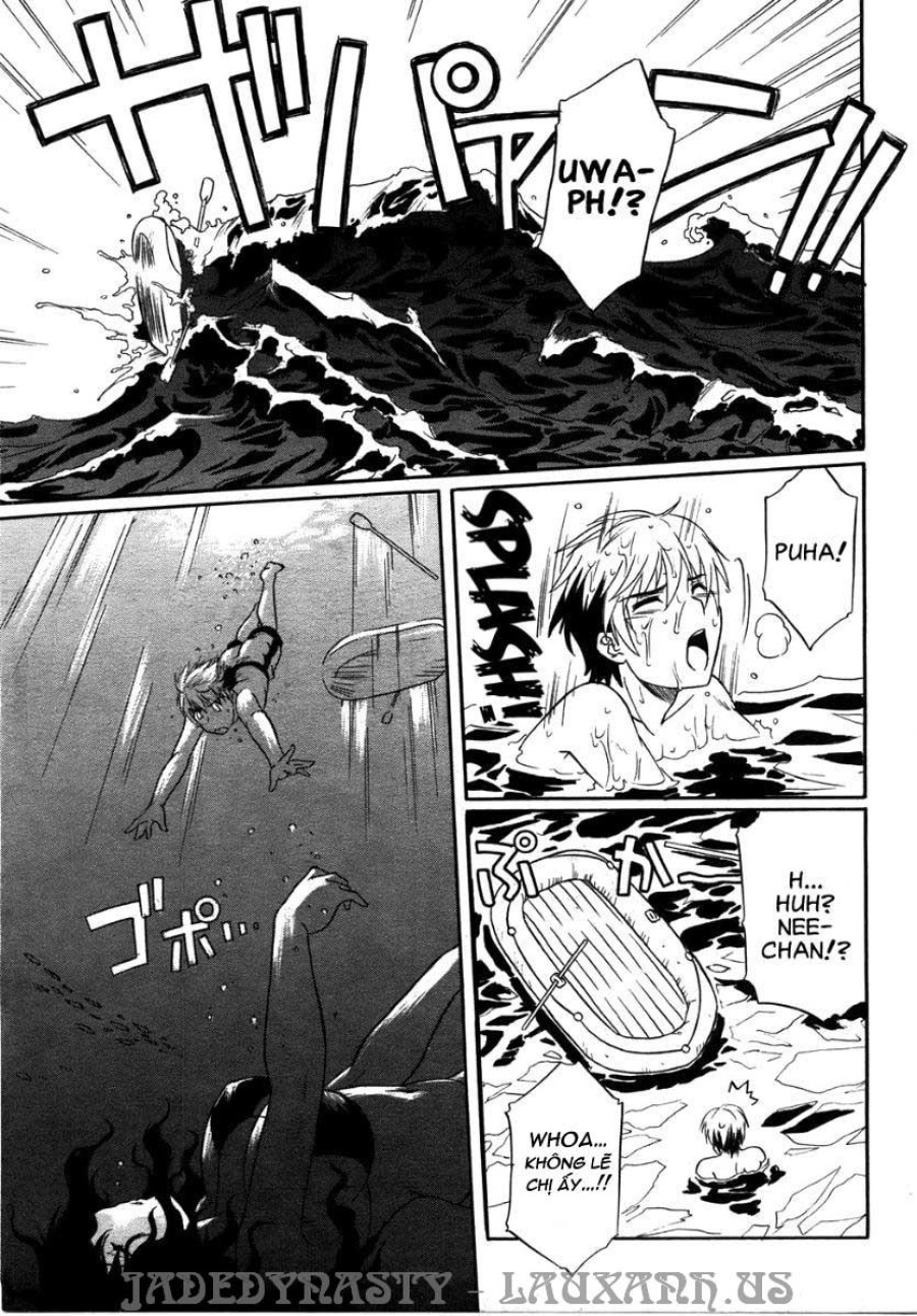 Flush/Splash 