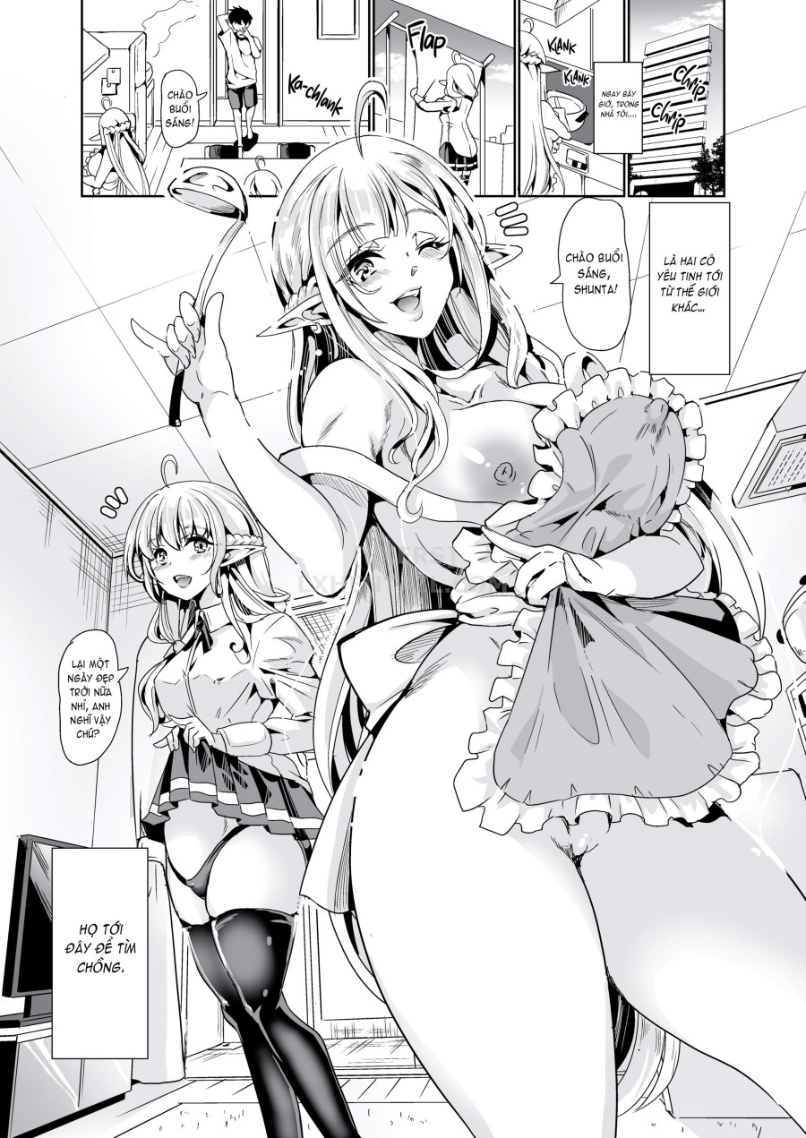 Slutty Elf Sisters Seeking a Husband 