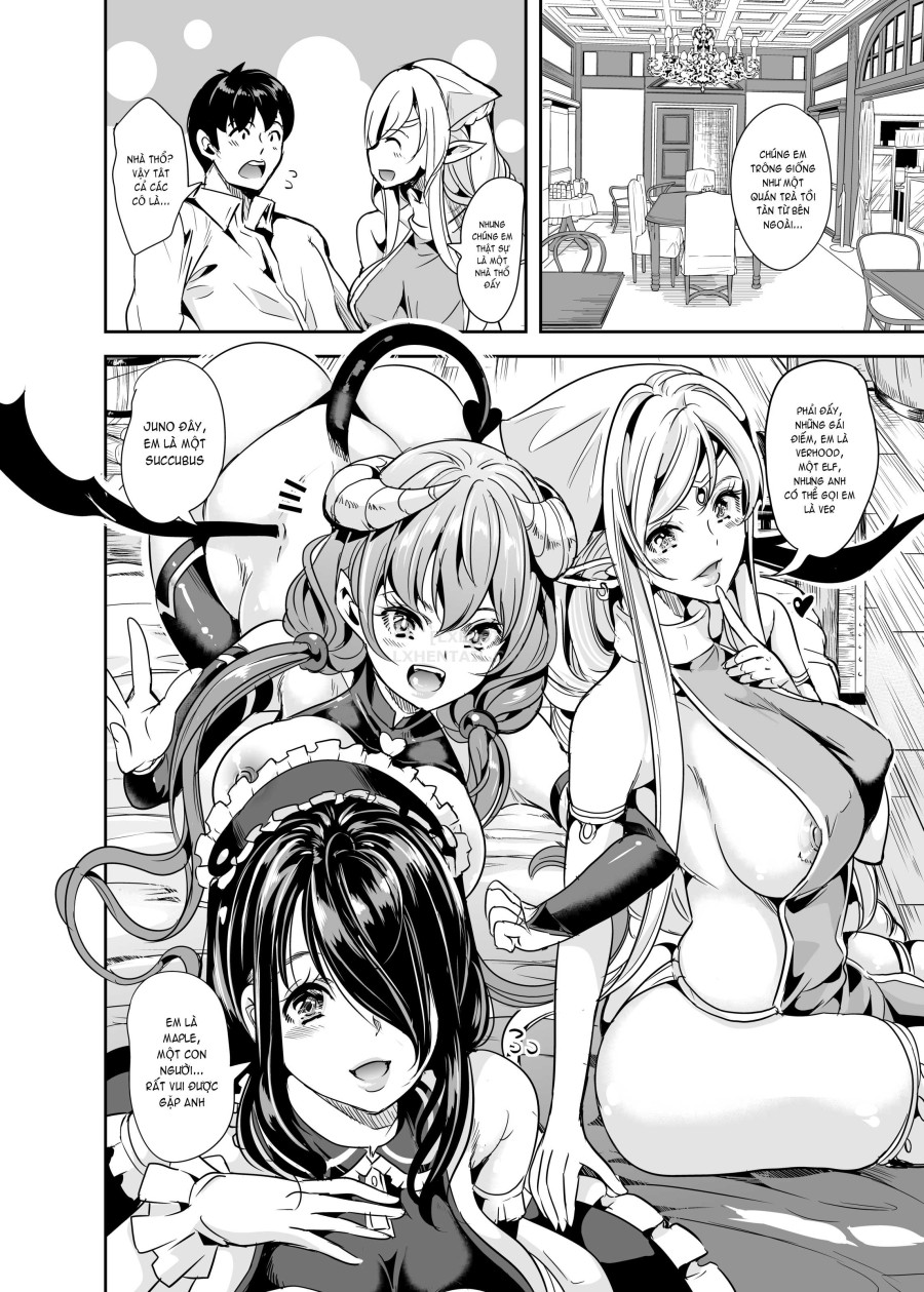 My Harem in Another World Collection 
