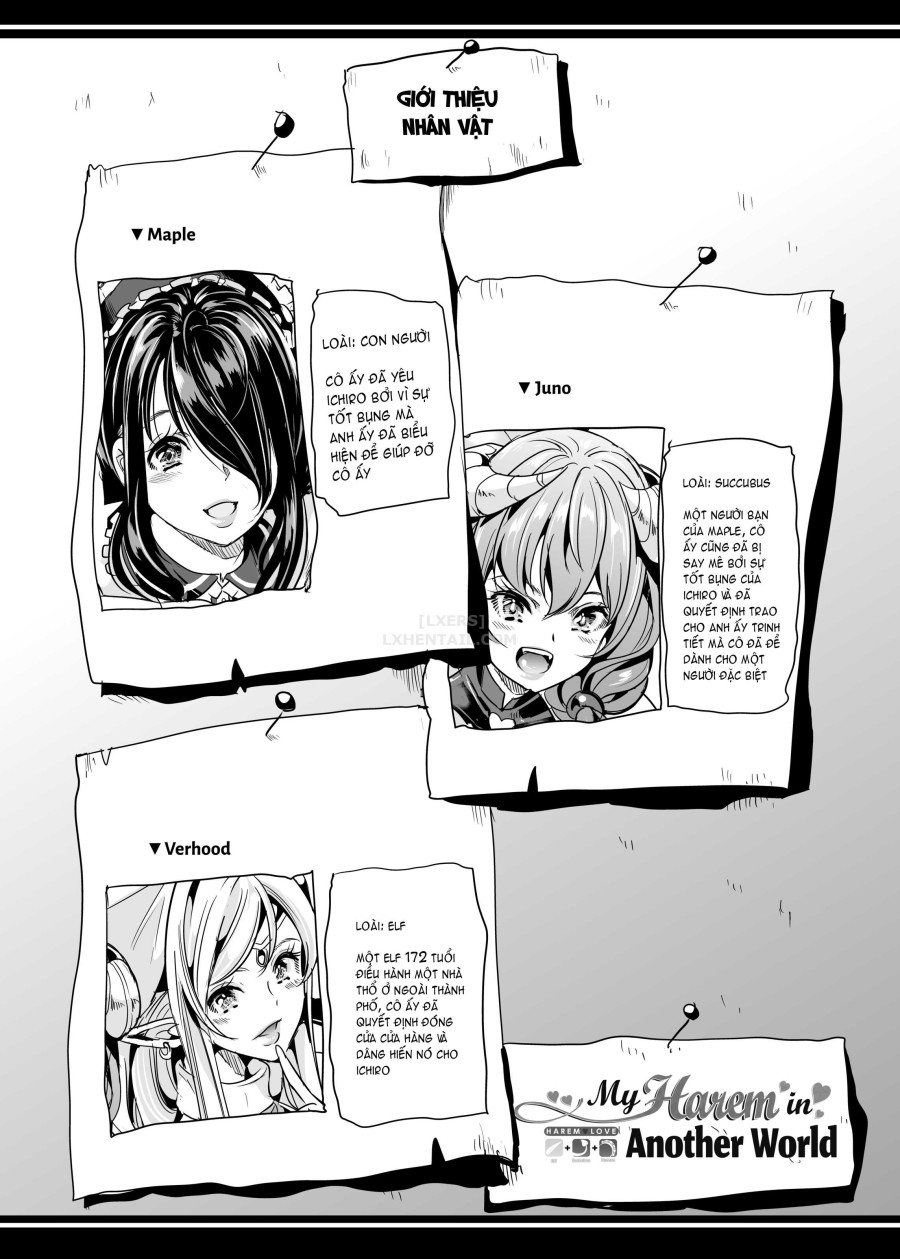 My Harem in Another World Collection 