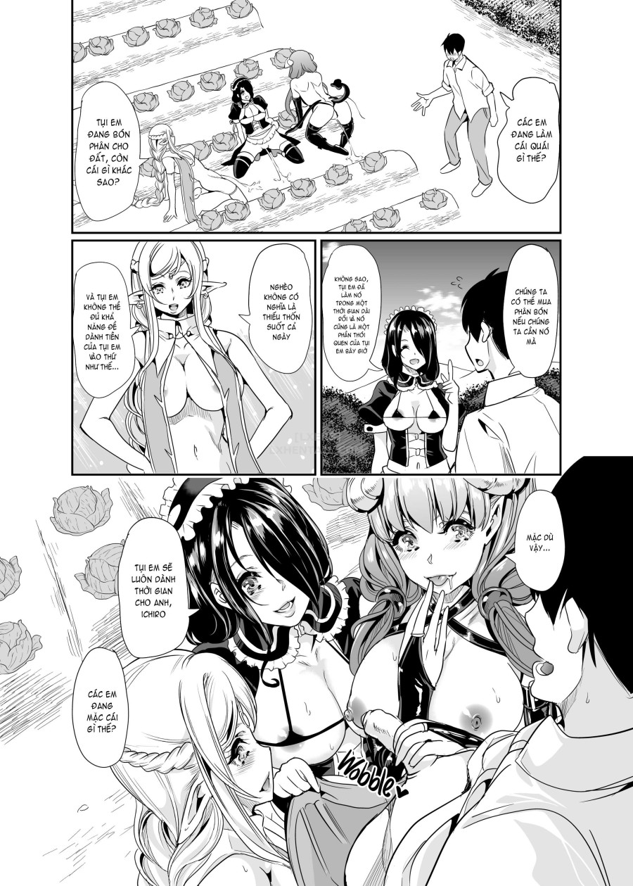 My Harem in Another World Collection 