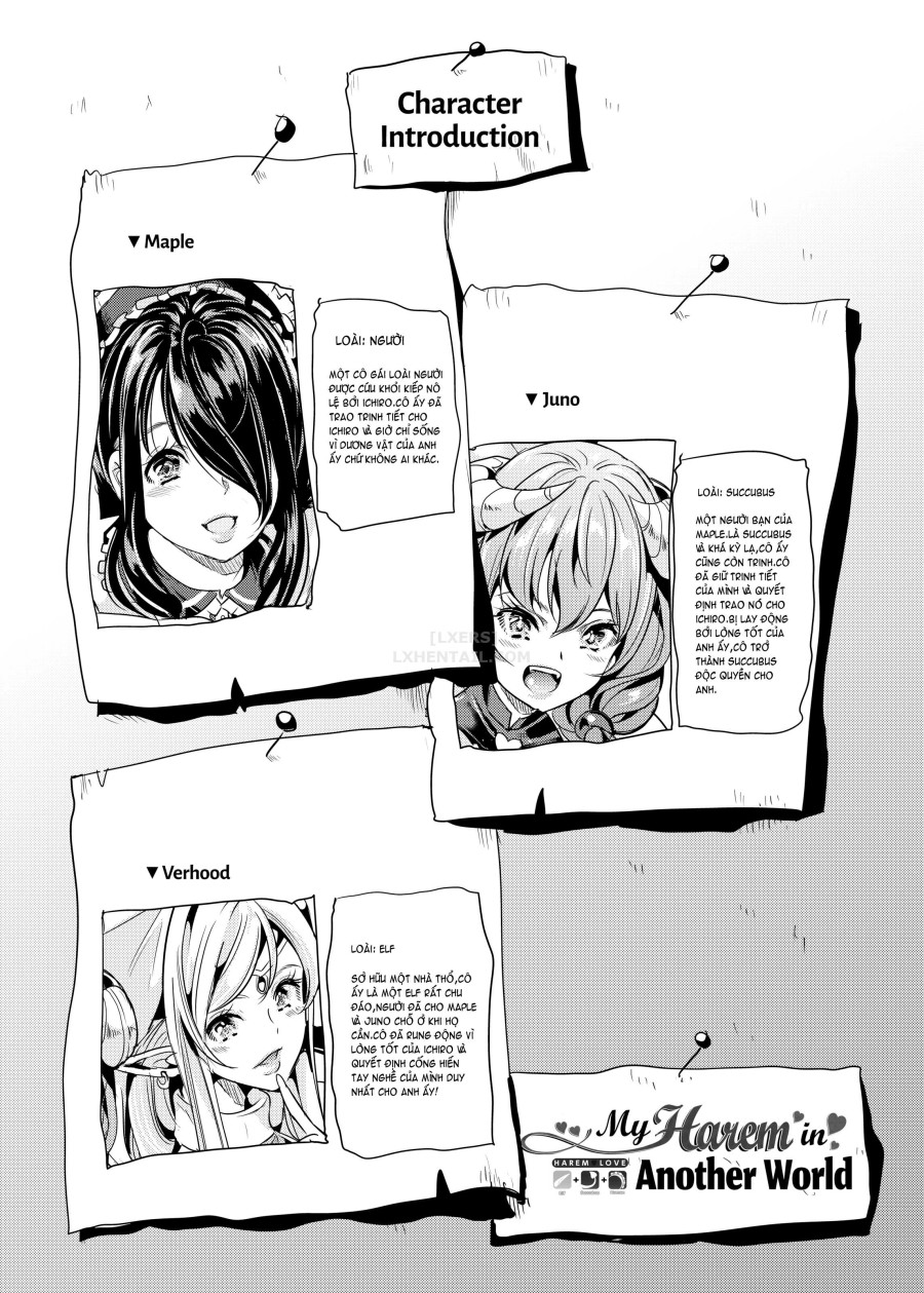 My Harem in Another World Collection 