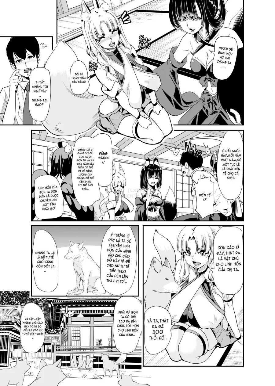 My Harem in Another World Collection 