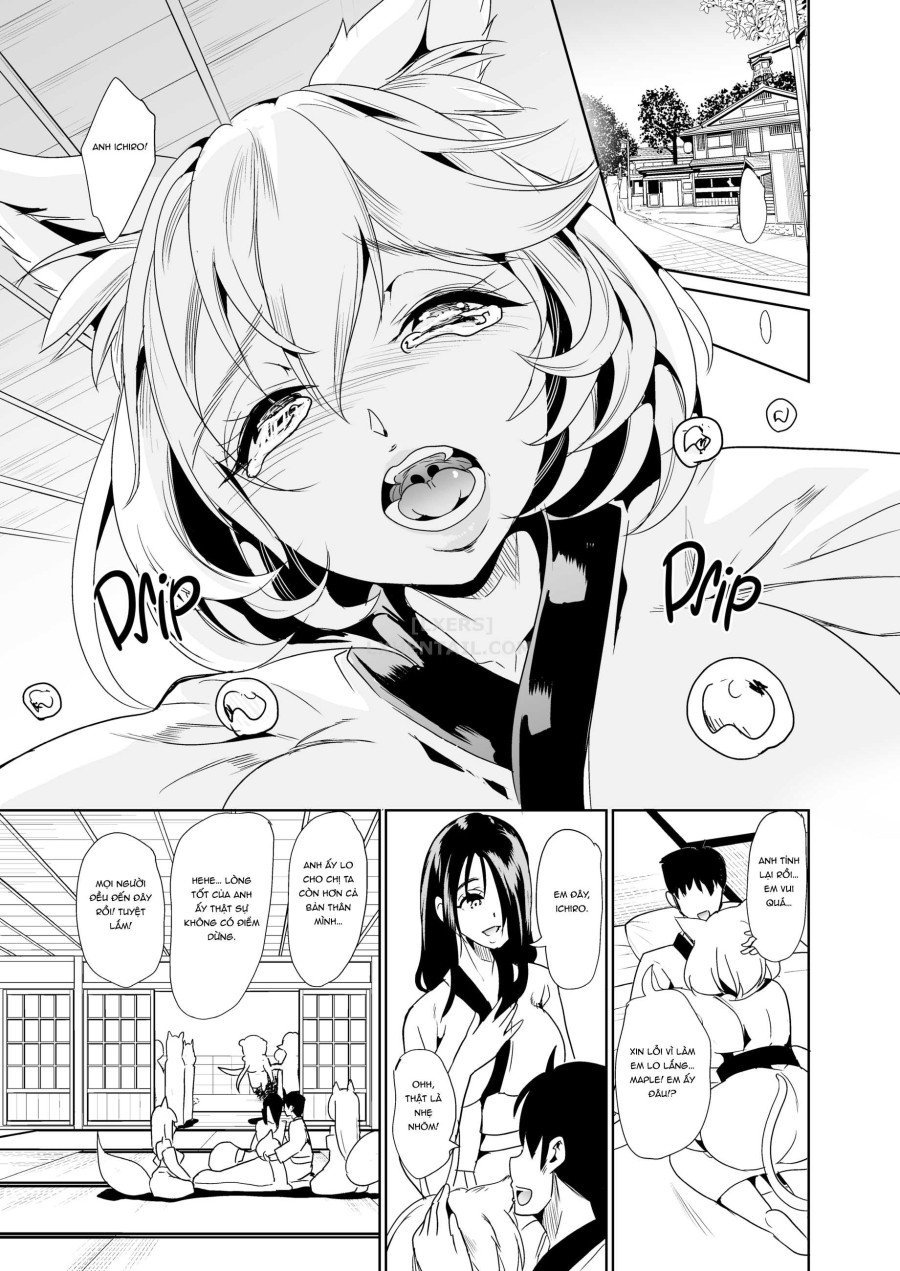 My Harem in Another World Collection 