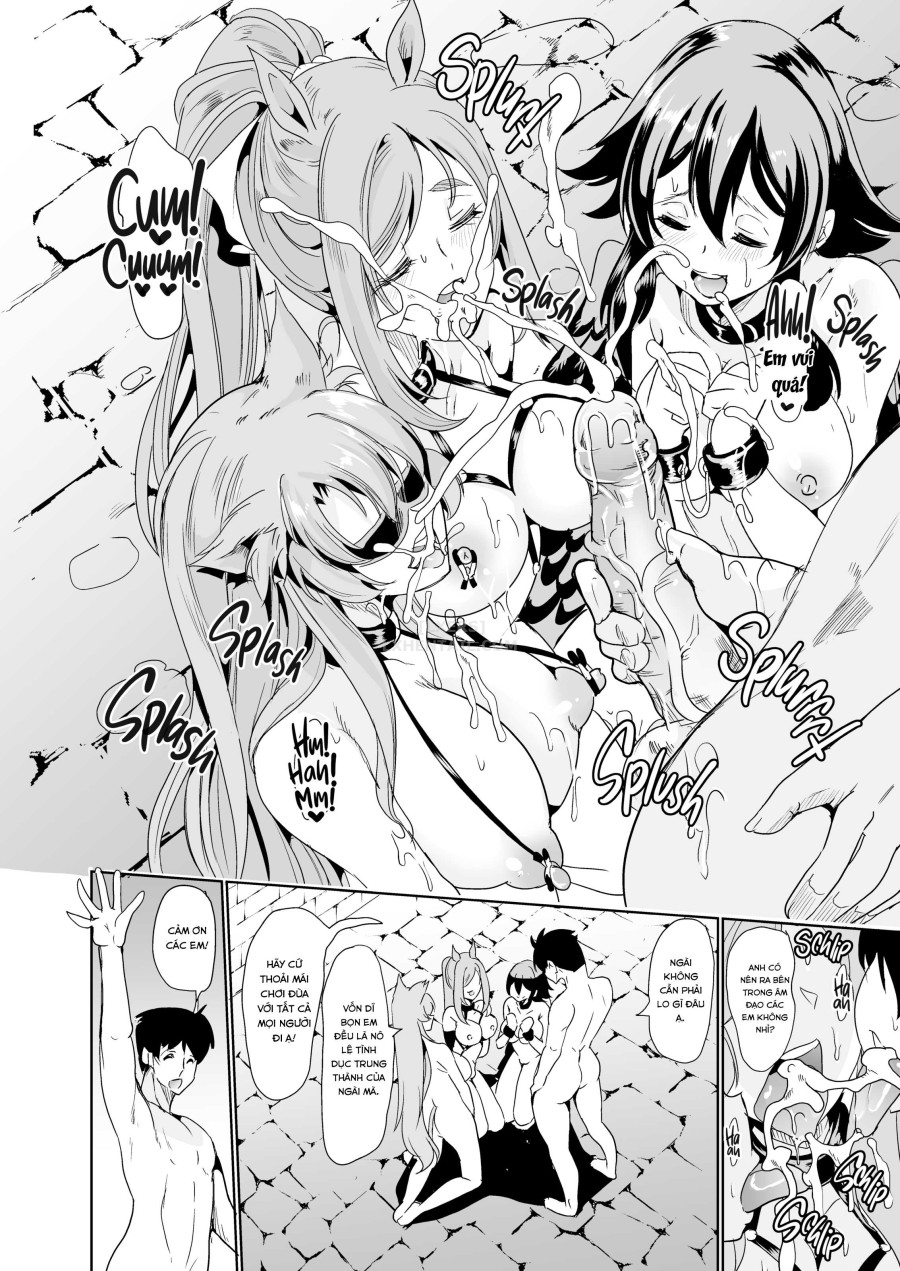 My Harem in Another World Collection 
