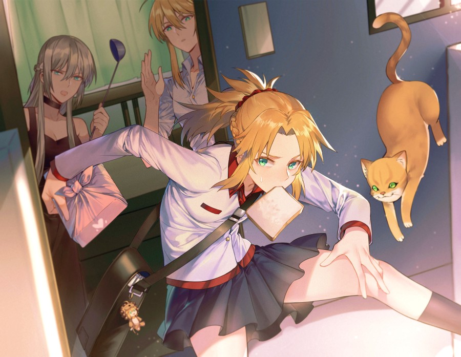 Fate Fanbook 