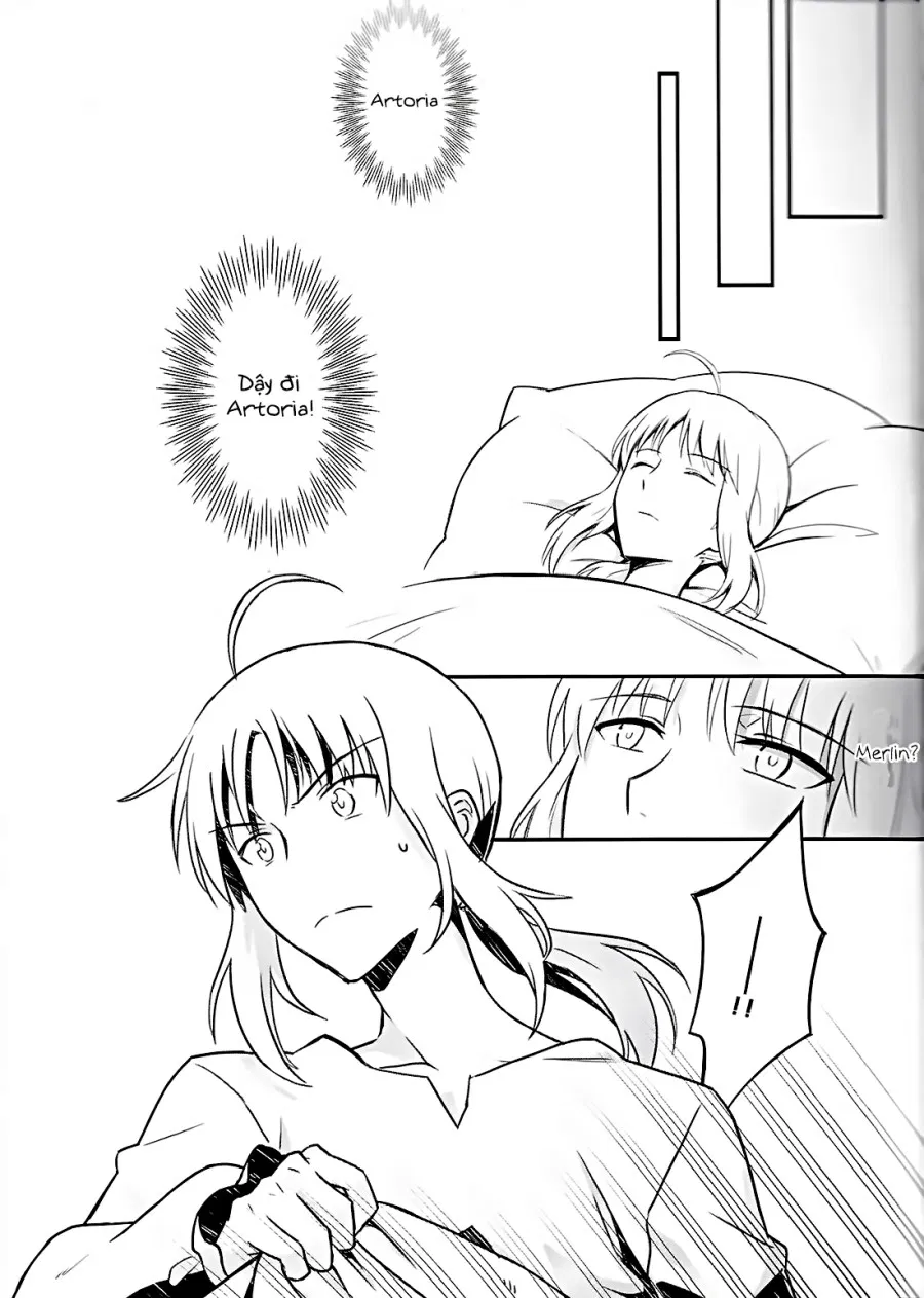 Fate Fanbook 