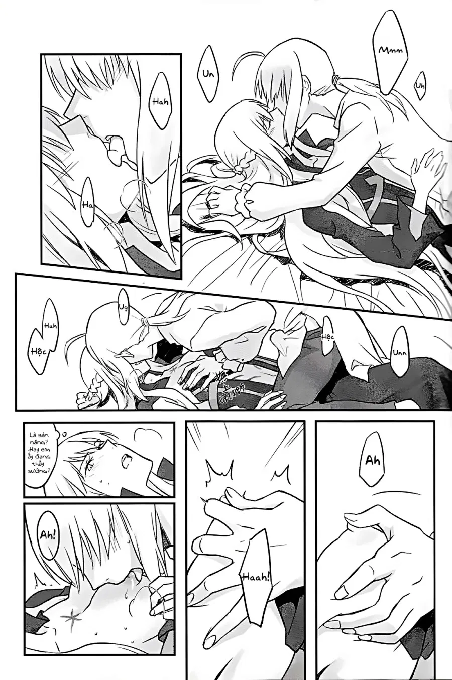 Fate Fanbook 