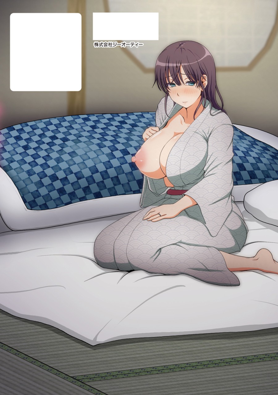 NETORARE HITOZUMA 2 