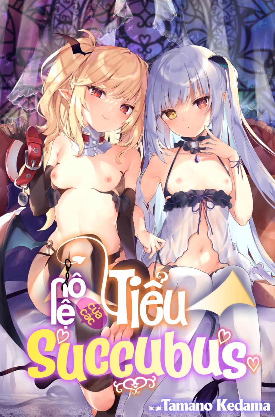 Nô Lệ Của Tiểu Succubus 