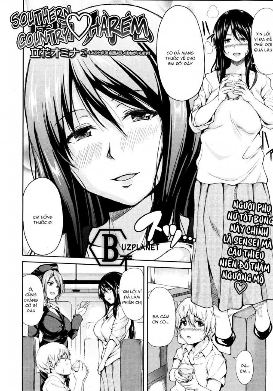 Southern Country Harem 