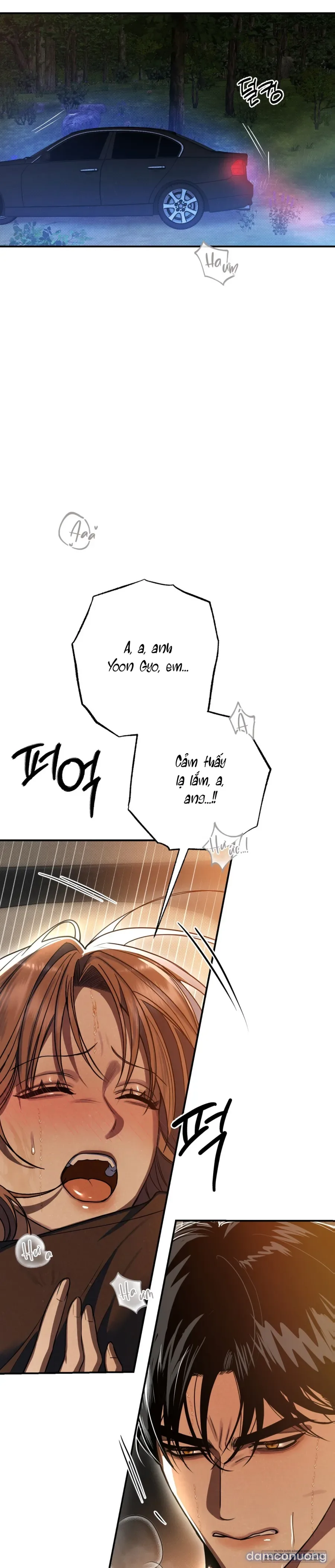 Ngưỡng Tuyệt Đối 