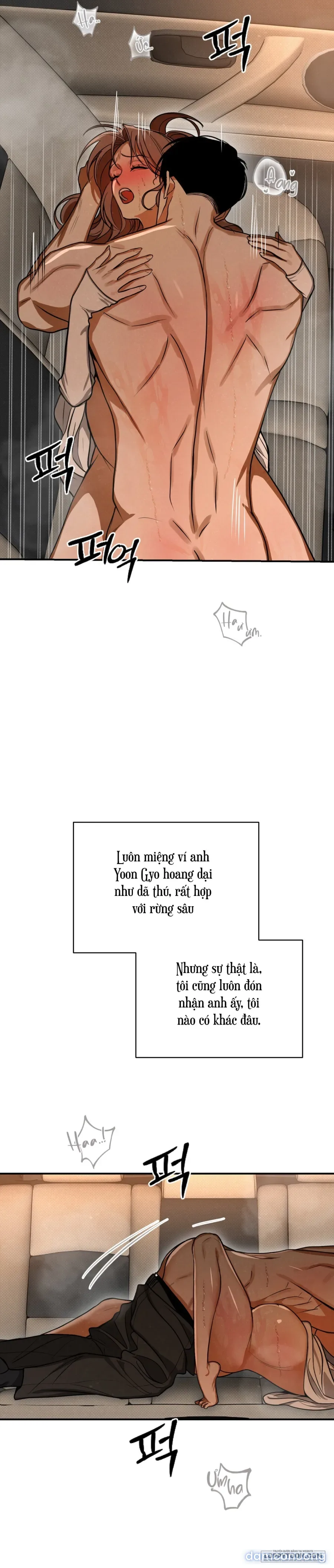 Ngưỡng Tuyệt Đối 