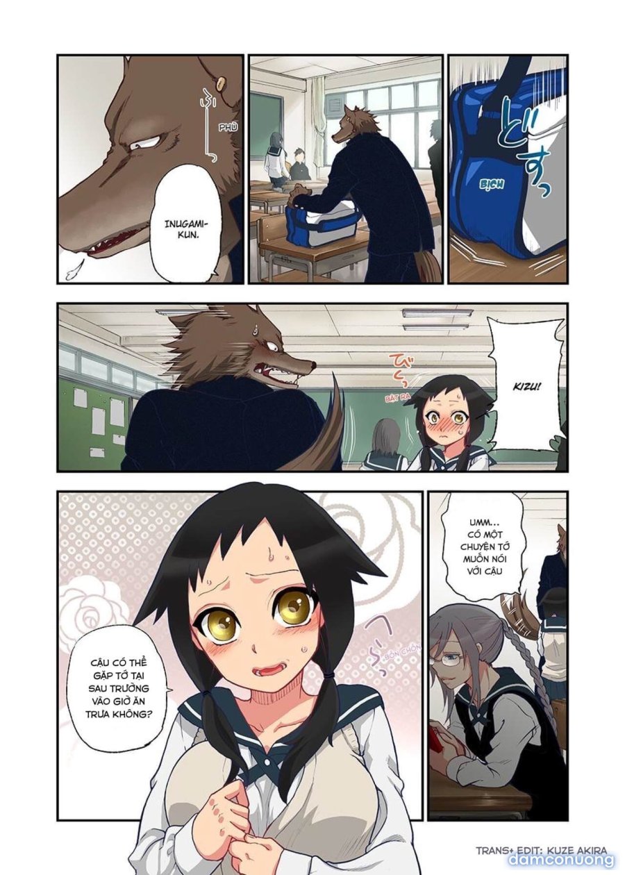 Onaka Ni Ippai, Ayakashi No Tane 
