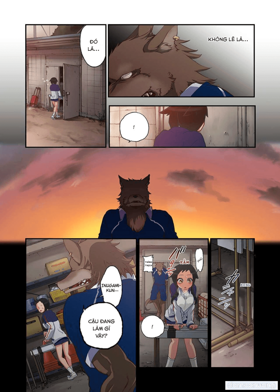 Onaka Ni Ippai, Ayakashi No Tane 
