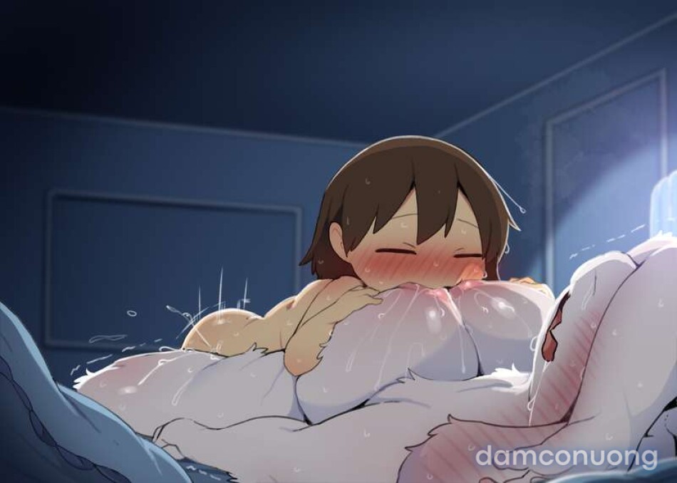 Đêm của Toriel 