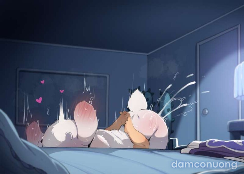 Đêm của Toriel 