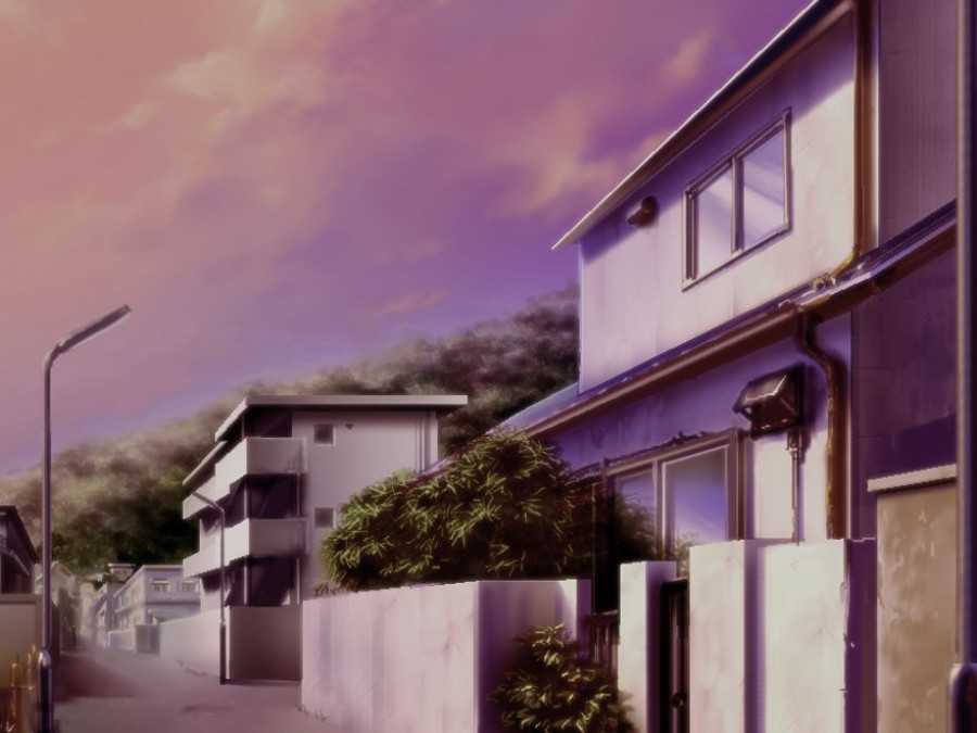 Mayoineko o Tomeyou 