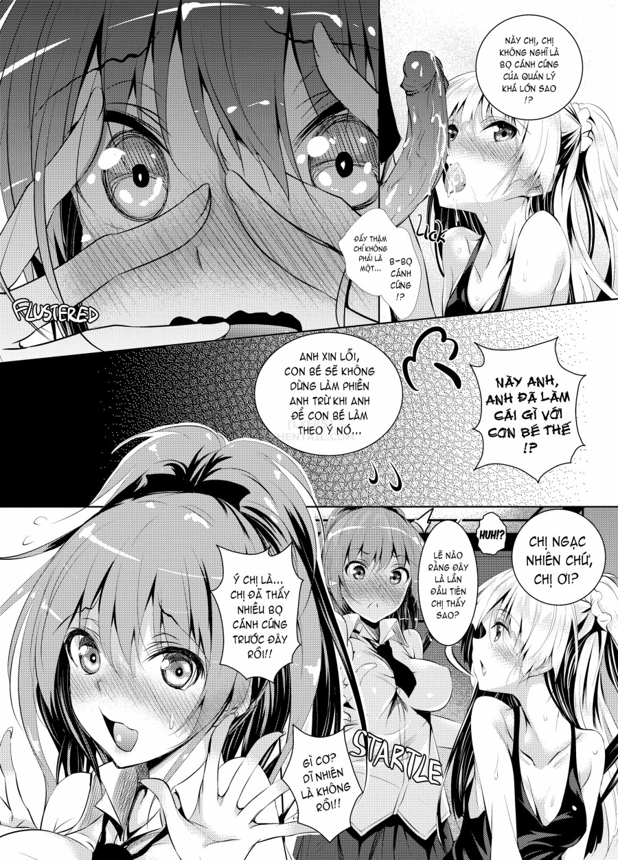 Producer's Beetle 