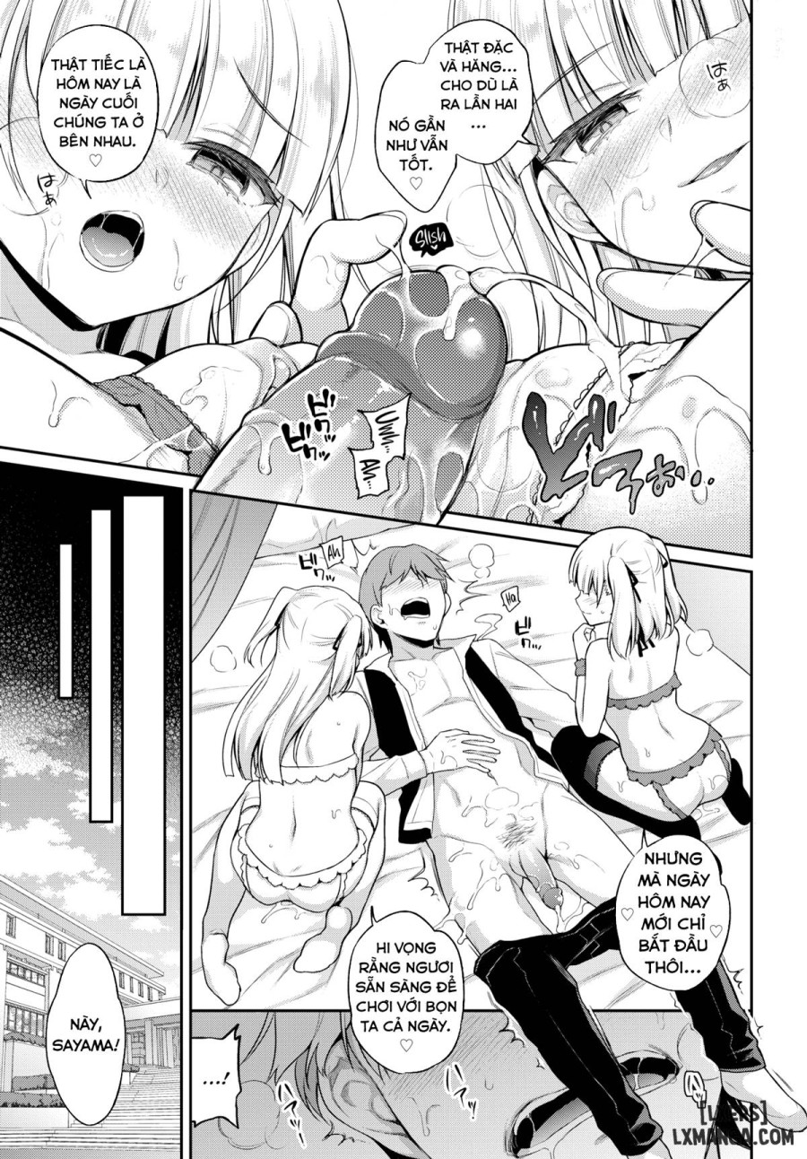 AiMai Pet 