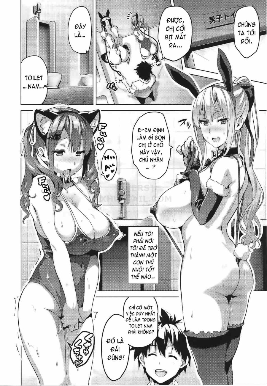 Sister Breeder 