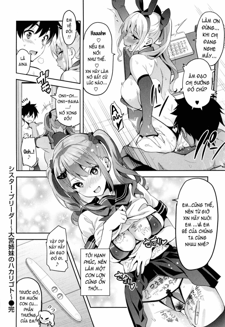 Sister Breeder 