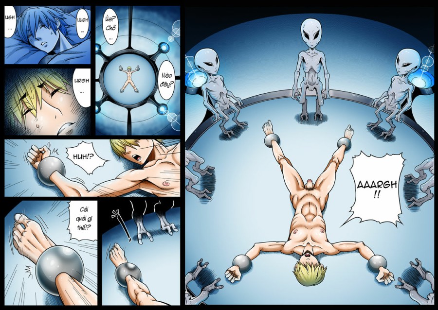 Phase 4 