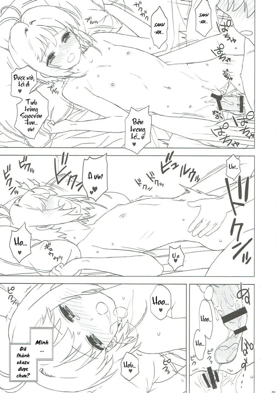 Làm video cùng Sakura và Syaoran 