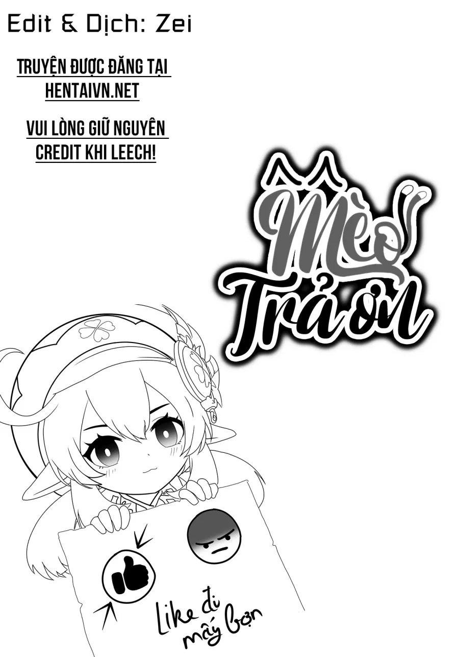 Mèo Trả Ơn! 