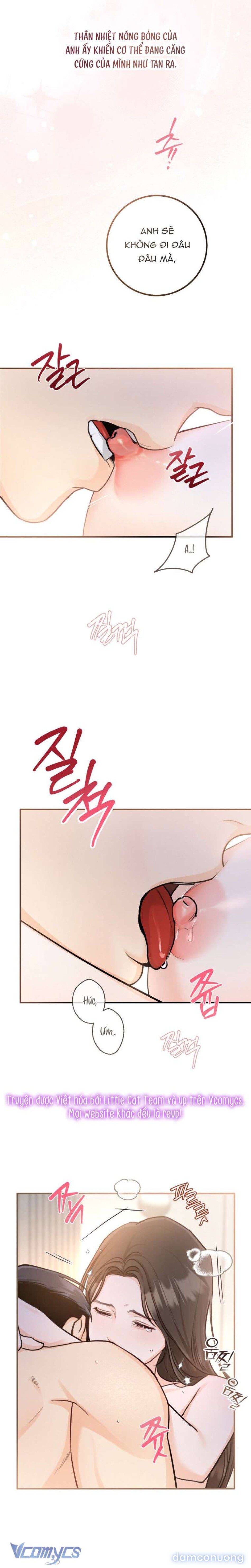 [18+] Chuyện Kết Hôn 