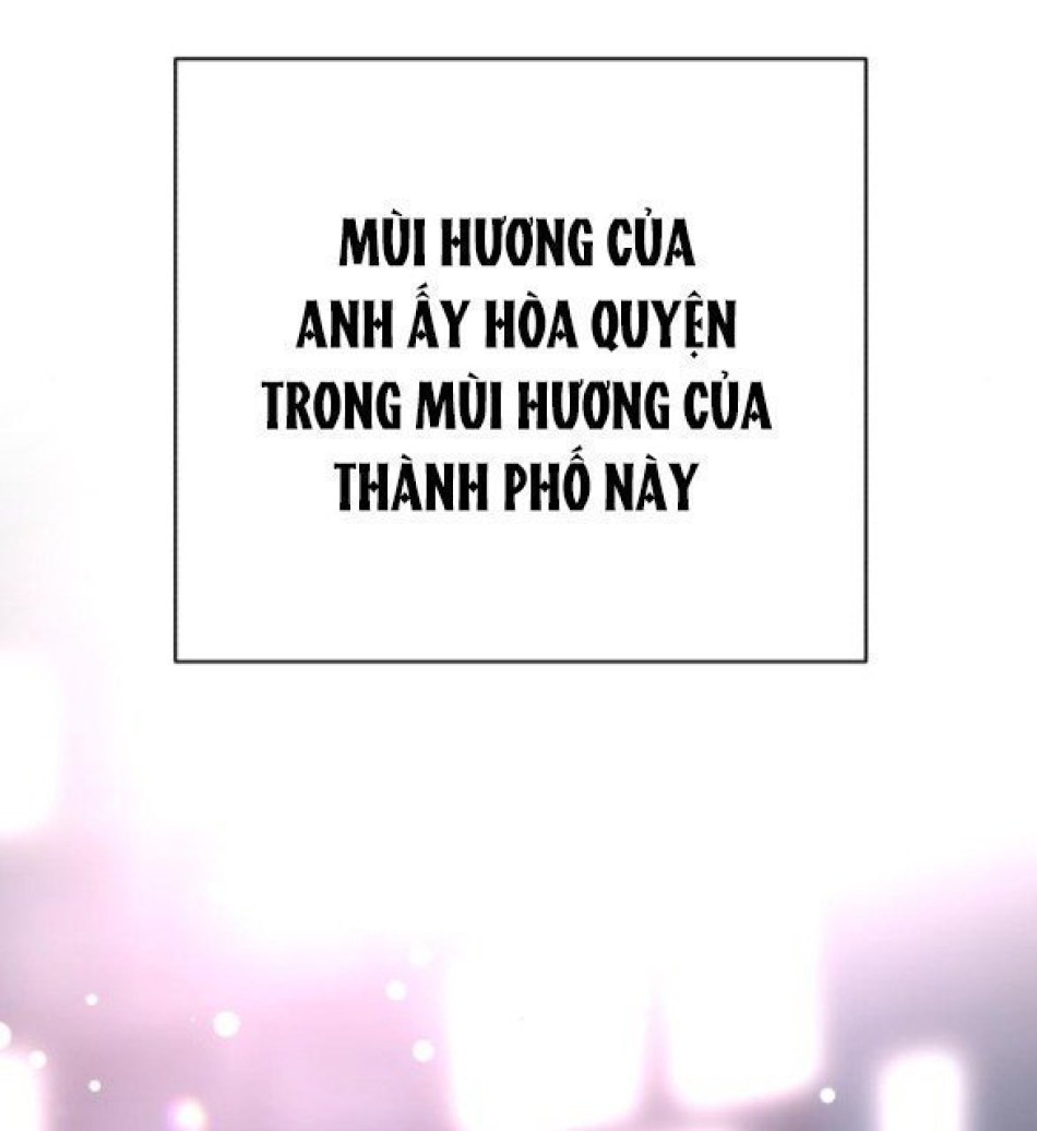 TÌNH YÊU CỦA IK SEOB 