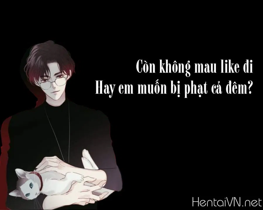 Hộp 