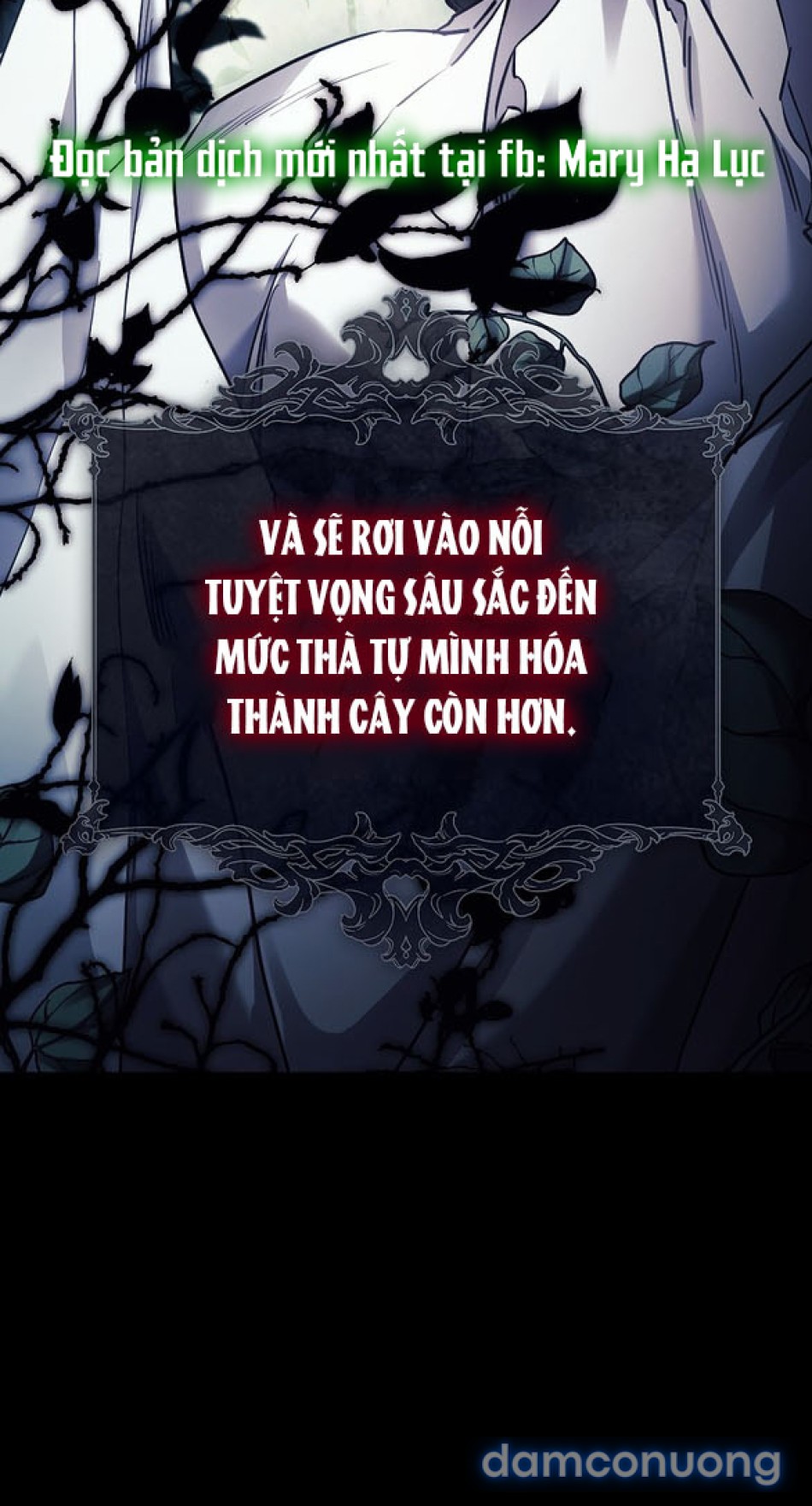 Dành Cho Các Nữ Thần 