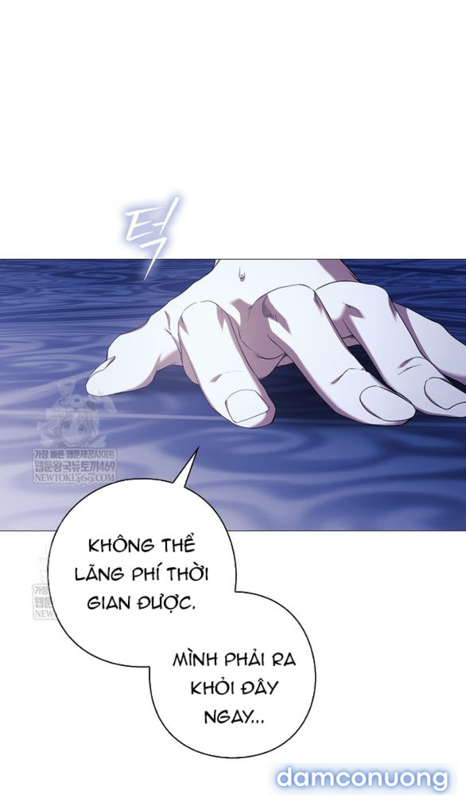 Dành Cho Các Nữ Thần 