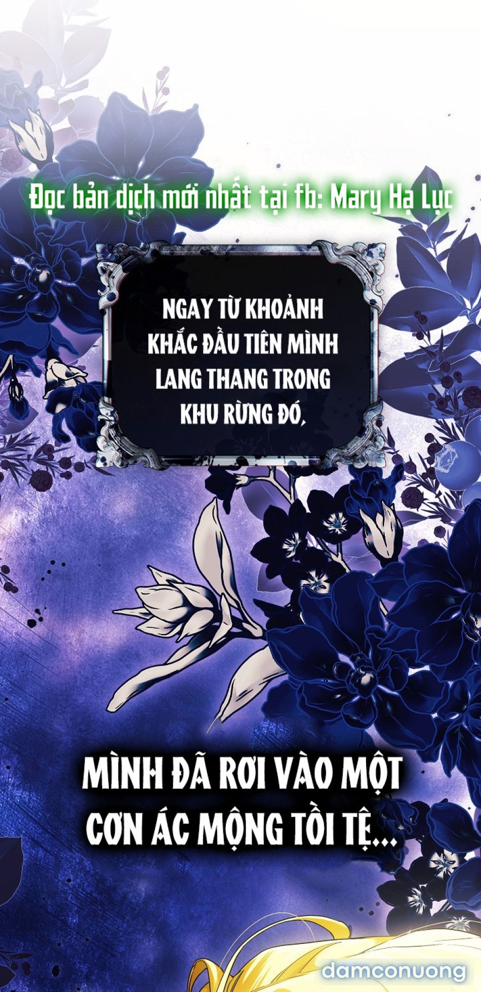 Dành Cho Các Nữ Thần 