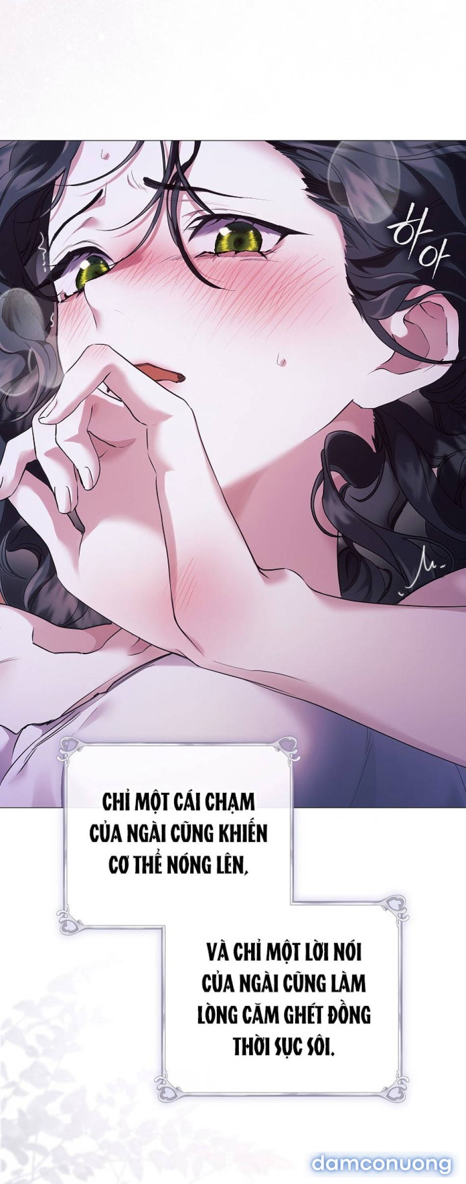 Dành Cho Các Nữ Thần 