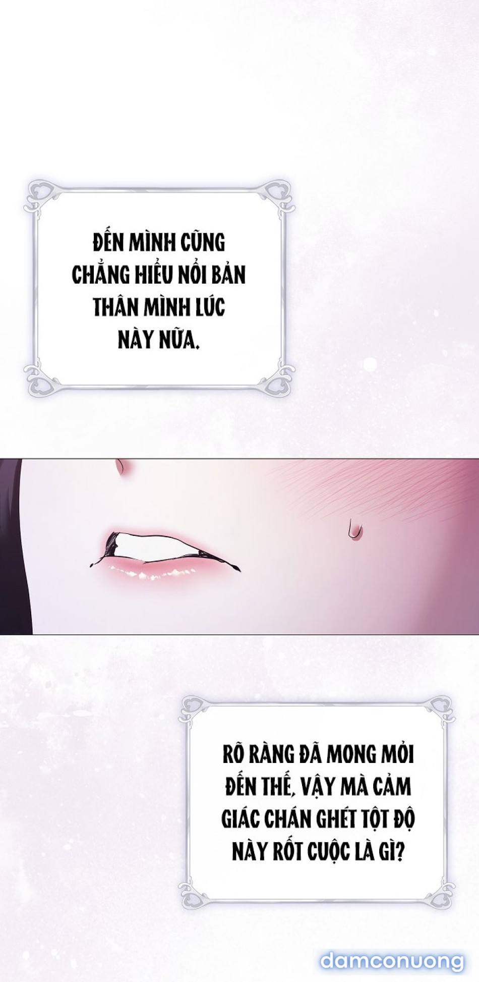 Dành Cho Các Nữ Thần 