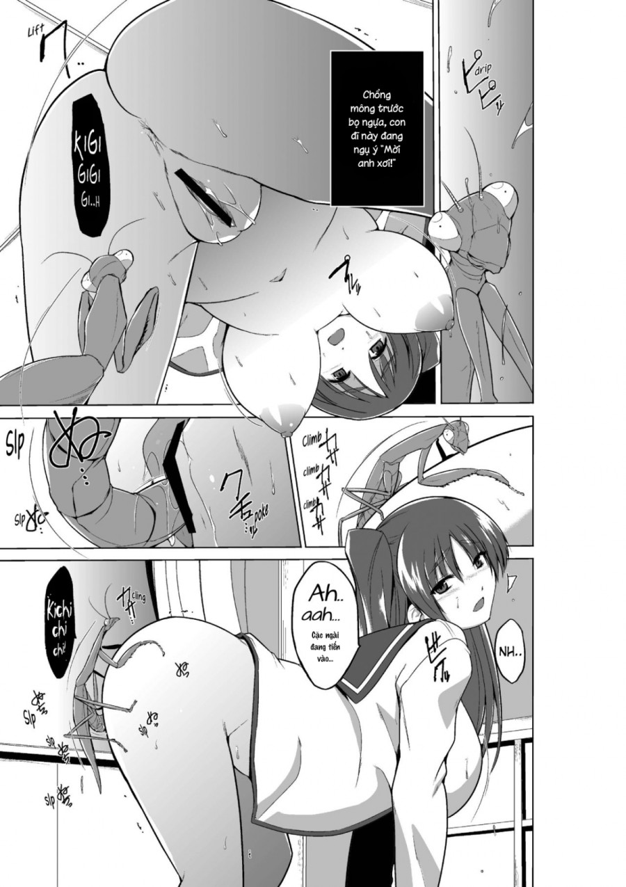 Tamaki no Mushi Asobi 