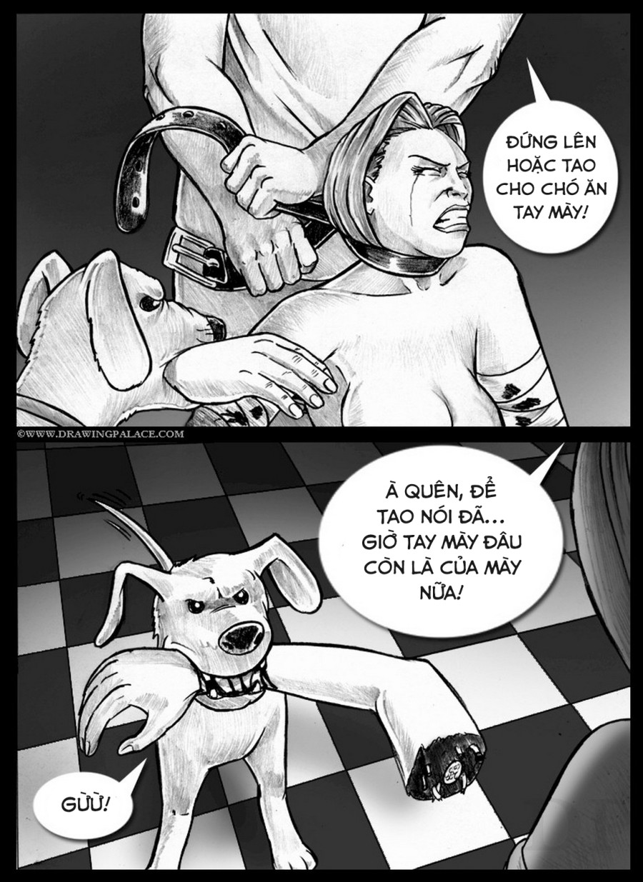 Chó 