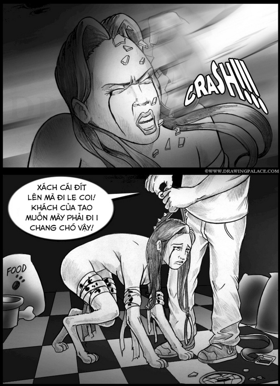 Chó 