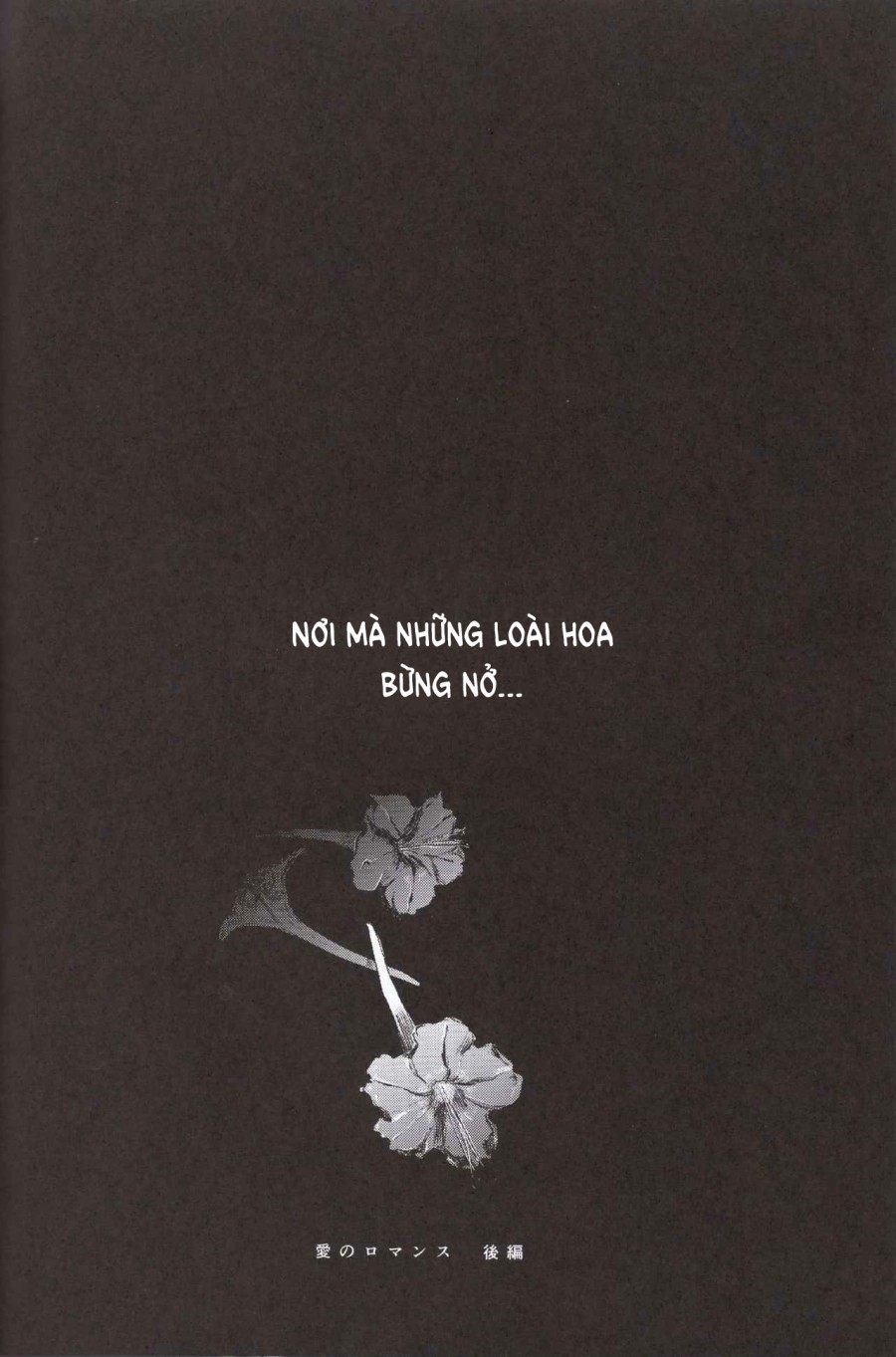 Bản tình ca lãng mạn. 