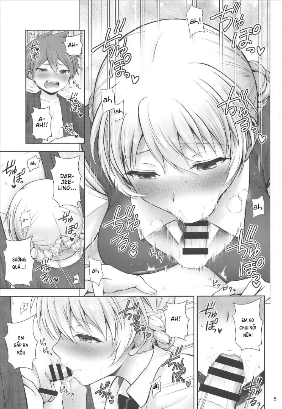 Darjeeling and Love Fireworks 