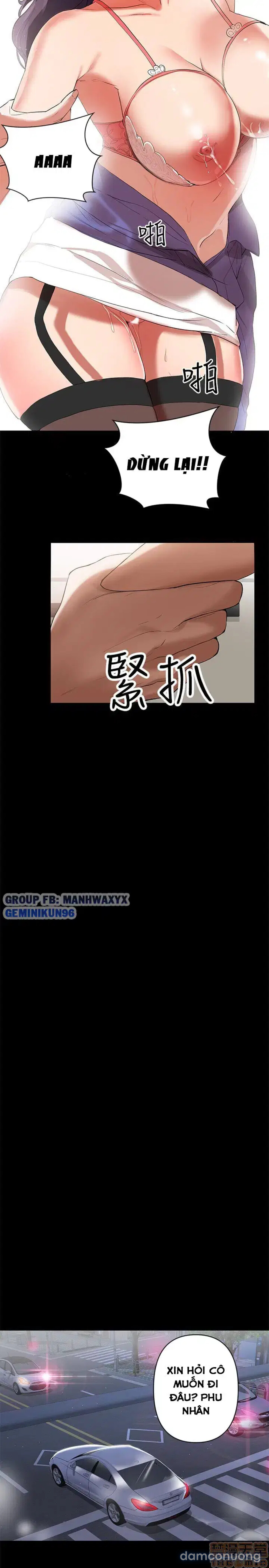 Vú nuôi của tôi 